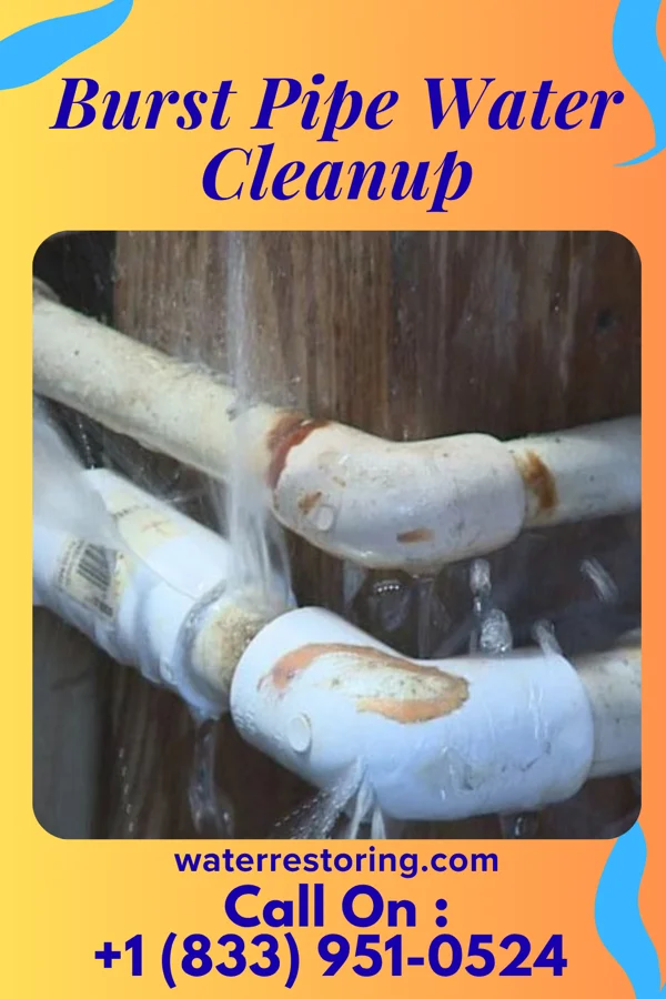 Burst Pipe Water Cleanup in Delphos, OH