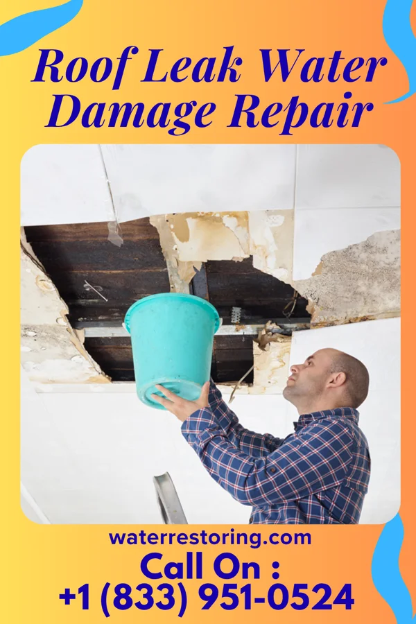 Roof Leak Water Damage Repair in Delphos, OH