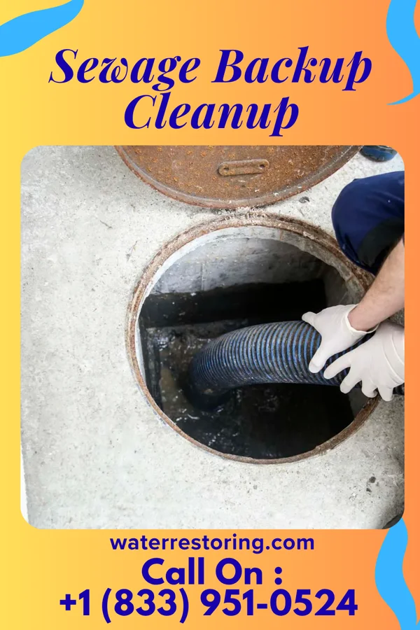 Sewage Backup Cleanup in Delphos, OH